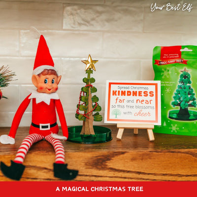 Holiday Magic Themed Elf Kit- 2026 Christmas Elf Kit - 24 days Counting Elf
